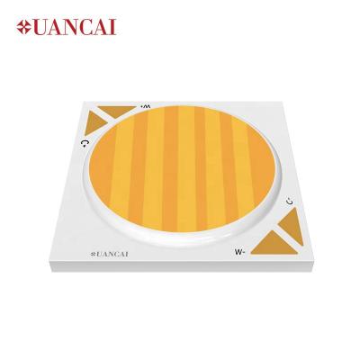 China CXB 2540 USA Bridgelux Commercial Same Size COB 24*24/21 30w+30w WW/CW 2700-6000K LED Lighting Bicolor LED Chip For Spotlight/Commercial Lighting for sale