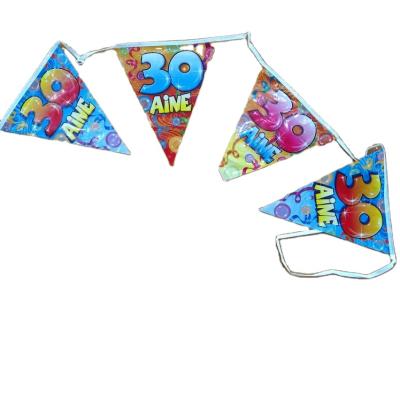 China Customized Hanging Triangle Pennant Twine Bunting For Hanging Decoration Flags for sale