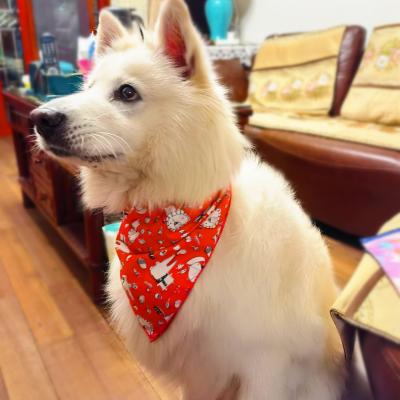 China Viable New Fashion Colorful Cotton Pet Triangle Scarf Dog Cat Saliva Towel Fashion Bandanas Dog Pet for sale