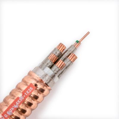 China Building Wire Underground Inorganic Mineral Insulated Metallic Sheathed Flexible Fire Retardant RTTW Cable for sale