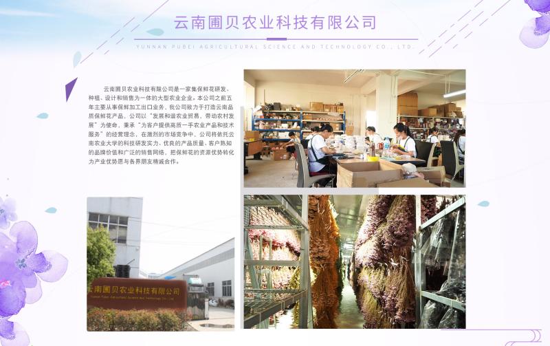 Verified China supplier - Yunnan Pubei Agricultural Science And Technology Ltd