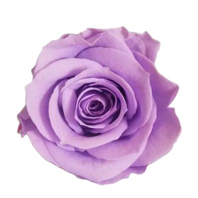 China Wedding Party Rose Head Lasting Real Rose Preserved In Flower Box Preserved Flower Present for sale