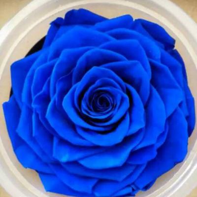 China Environmental protection green classic wholesale preserved rose head true with fresh rose smell eternal rose for sale