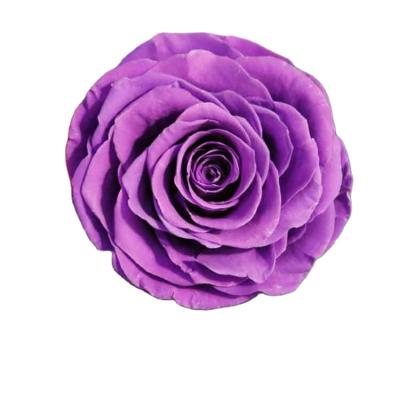 China Green Environmental Protection Best Seller New Style A Grade 9-10cm Stabilized Preserved Royal Flower Rose Heads for sale