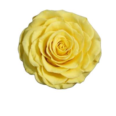 China Environmental protection 9-10 cm green warm colors many rose preserved flower heads wholesale flower rose for sale