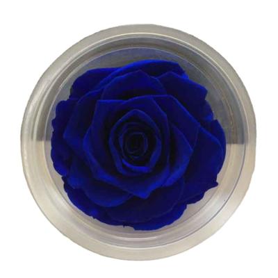 China 2021 Wedding Party Factory Supplies Real Roses Preserved Roses Preserved Long Lasting Preserved Flowers for sale