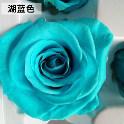 China Beautiful Wedding Party Rose Heads Preserved Flower Present Colorful Warm Real Rose Head for sale