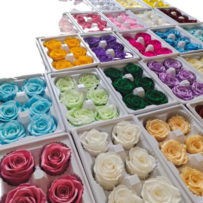 China Wholesale home decorative wedding flowers 5-6 real forever natural eternal immortal preserved roses flower cm for sale