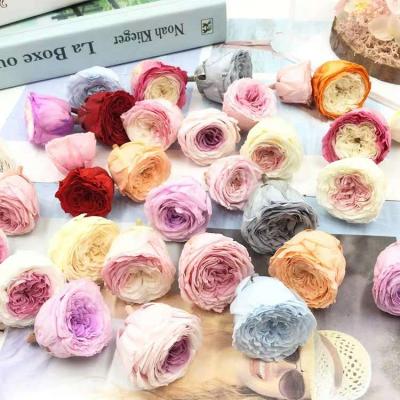 China Beautiful Most Popular Everlasting Rose Export Natural Flowers Austin Rose for sale