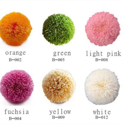 China Beautiful Colorful Amazon Most Popular Preserved Flower Pingpang Chrysanthemum Head For Home Decor for sale