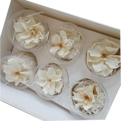 China Real Silk Flower Heads Preserved Natural Gardenia Flower Touch Dried Condoms for sale