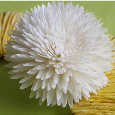 China High Quality Preserved Flower Sola Wood Flower Artificial Flower Factory Direct Sale For Graduation for sale