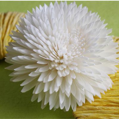 China Preserved Flower 2020 Most Popular Organic Dried Sola Wood Flower For Reed Diffuser for sale