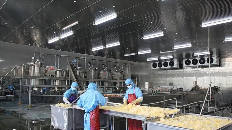 Verified China supplier - Sanduo Yinhua (fujian) Foods Co., Ltd.