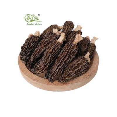 China Dried Wholesale China High Grade Wild Dried  Morchella Esculenta Morel Mushroom for sale