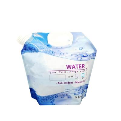 China Custom Safety Printing 5L 10L Spout Pouch Holder Water Juice Beer Wine Plastic Drinking Camping Bag for sale