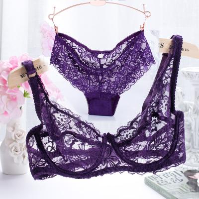 China 2019 Antibacterial New Elegant Sexy Lace Bra Set Transparent Panties for sale