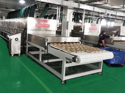 China 1170mm Width 85KW  Microwave Dehydrator For Pulpmolding for sale