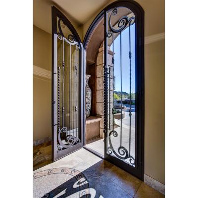 China Modern American Style Matt Black Hot Galvanized Cast Wrought Iron Steel Front Entry Door with Tinted Glass for sale