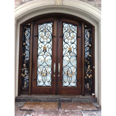 China Modern Front Entry Double Door Designs Wrought Iron Modern Steel Exterior Doors for sale