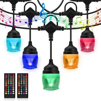 China Garden 43FT Color Changing Hanging LED Lights With 14 Dimmable Bulbs for sale