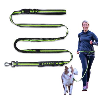 China Multifunctional Large Dog Pet Pet Stocked Leash Running Leash for sale