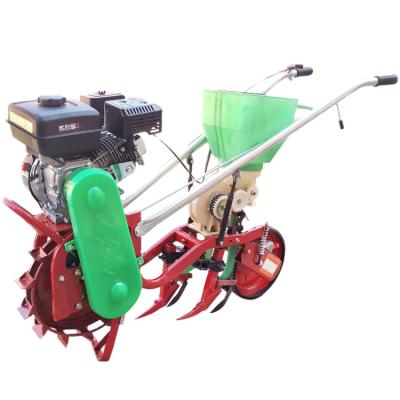 China New six-row self-propelled planter gasoline planter self-propelled gasoline planter for sale