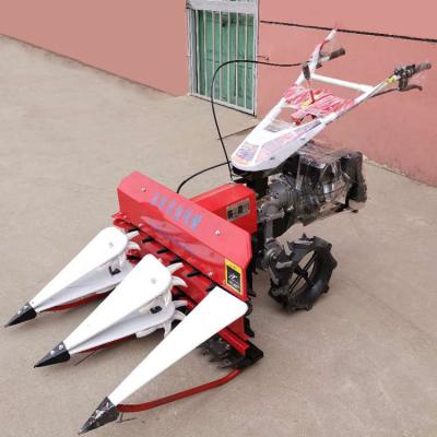 China Universal gasoline rice rake, hand-push millet and rice harvester, diesel self-propelled wheat and corn stalk harvester for sale