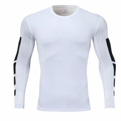 China New Breathable Printing Long Sleeves Sports Fitness Gym Wear Running Men's Clothing Training Stretch Quick Drying Tights for sale