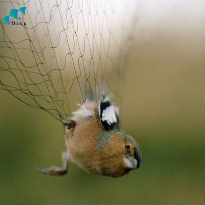 China Cheap Price Netting Bird Netting Mist Netting Nylon Catch Catch Net With 5 Pockets for sale