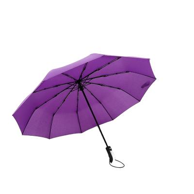 China Contemporary For Lanbrella 2020 New Design 3Folding Umbrella With Pongee Fabric for sale