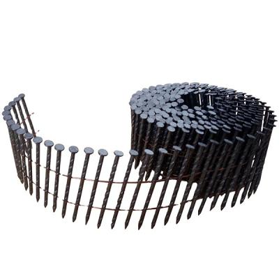 China Flat China Coiled Nails Wire Assembled Nails Coiled Shank Soft Nails Factory Price for sale