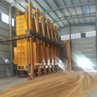 China 5HXG-32 Agriculture Rapeseed Dryer --- 0086 13838395241 for sale