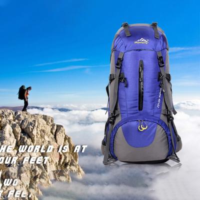 China Waterproof Promotional Custom Hiking Lightweight Backpack Outdoor Sports Backpacks for sale