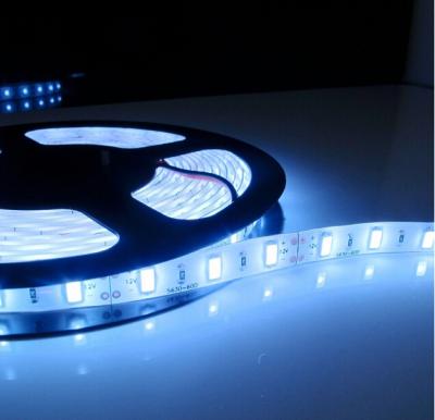 China Desk Engineering Light Custom 5730 Led Strip Lights 12v Waterproof IP65 Grow Light For Sale for sale