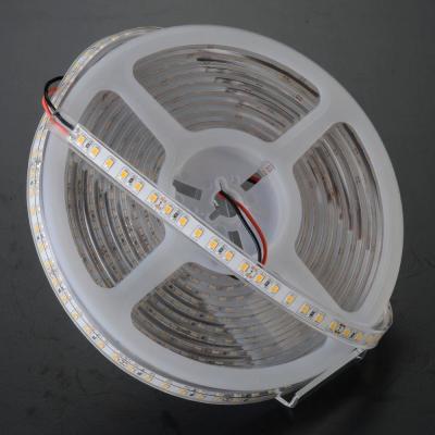 China Theme park CE&Rosh approved led strip light 12v 8mm 2835 120leds per meter 10mm 2 pin strip wiring connector for sale