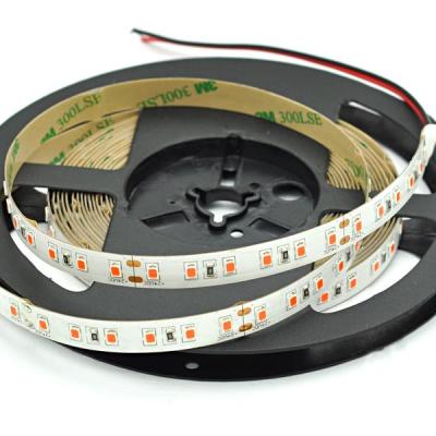 China Sports stadiums 12V 5A power adapter 60w 300leds 2835 led strip light 12v waterproof double sided single color good quality for sale