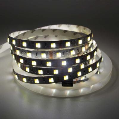 China New Desktop Style 12v 5050 Warm White White Color Dual Led Strip 60leds/m Non Waterproof Best Service IP20 for sale