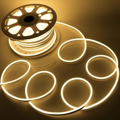 China Stores Best Selling Neon Led Strip 5meters Kit Silicone Neon Dc 12v Dc24v 2835 Led15mm*25mm Flex Strip Light Smd Rgb for sale