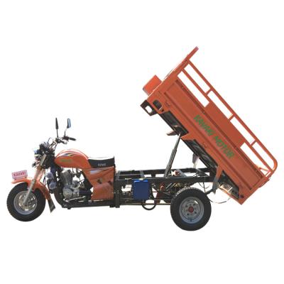 China Hot Selling High Quality Kids Tricycle 200cc 250cc Gasoline Cargo Kavaki Made In Africa Chinese Motorcycle Factory for sale