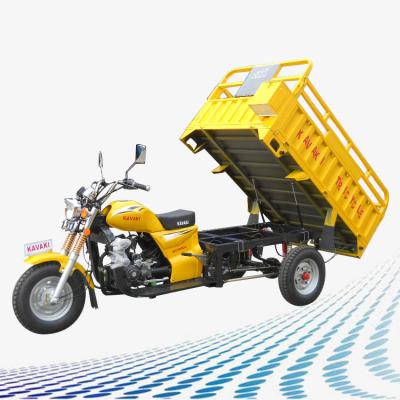 China Hot Chinese Cheap Popular New Cargo Gasoline 200CC Cargo Tricycle For Sale Malaysia for sale