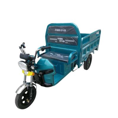 China Good quality cargo tricycle 1000W electric motor for sale used for cargo loading for sale