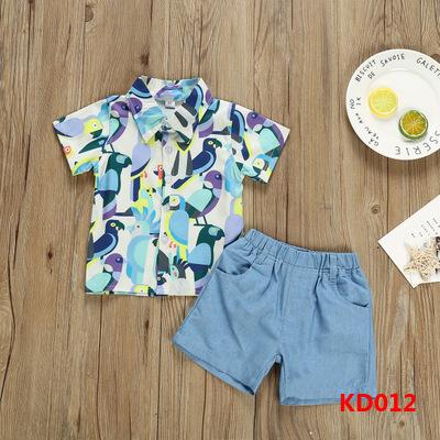 China Vintage Boy Clothing Set Cute Parrot Print New Boy T-shirt Summer Sleeve Shirt Kids Shorts Shorts Suit for sale