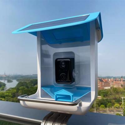 China Pinelake automatic wholesale price other bird accesorio automatic backyard smart bird feeder for sale for sale