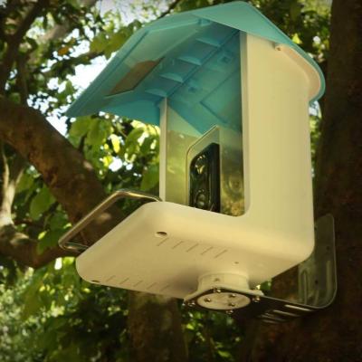 China Pinelake High Resolution 1080 P Automatic Camera Bird Feeder with AI Recognition and Hum Function for sale