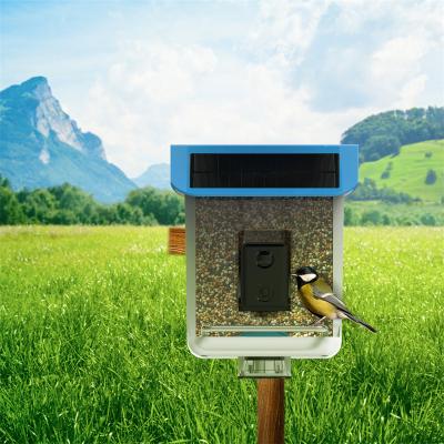 China Newest Designed Automatic Pinelake Smart Bird Feeder With Camera And Motion Detection Function for sale