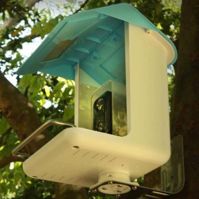 China Pinelake Tree Bird Feeder Automatic Wholesale Hot Selling Clear Hanging Bird Feeder With Sliding Tray And Camera for sale