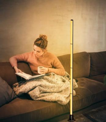 China Modern Hot Selling Lake Pine Cheap Minimalist Led Corner Adjustable LED Floor Lamps Smart Floor Lamp for sale