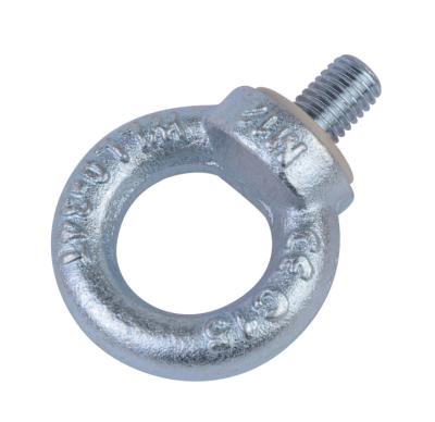 China High Quality Workshop Factory Price Forged Stainless Steel Swivel Eye Bolt Snap For Rittal Cabinet Lifting for sale