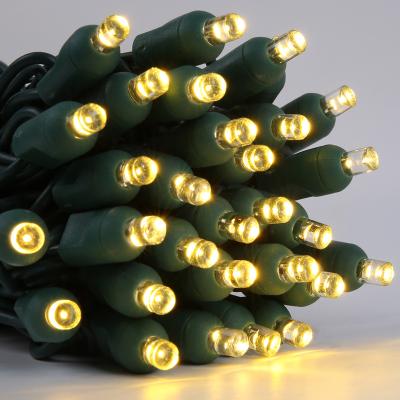 China 2020 Fashion Wholesale IP65 Led Waterproof 5MM Led Outdoor Christmas Lights for sale